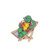 Turtle Owner Gift Turtle Lover