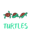 Turtle Owner Gift Turtle Lover