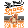 Squirrel Gift Squirrel Grey Squirrel