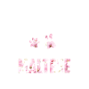 Maltese