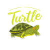 Turtle Owner Gift Turtle Lover