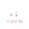 Bernedoodle
