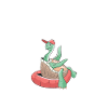 Turtle Owner Gift Turtle Lover