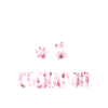 Cockapoo