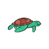 Turtle Owner Gift Turtle Lover