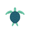 Turtle Owner Gift Turtle Lover