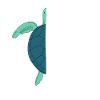 Turtle Owner Gift Turtle Lover