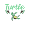 Turtle Owner Gift Turtle Lover