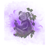 Koala Australien Geschenk