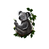Koalabär
