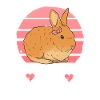 Best Rabbit Mama