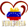 Venezuela flag