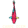 Neon Koi Carpe Diem