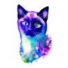 Katze