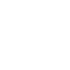 Moniteur d’équitation Cours d’équitation Cavalier