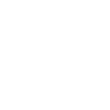 Introvert since 1999 white