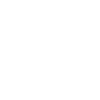 Introvert since 2004 white