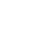 Introvert since 2003 white