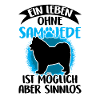 Leben ohne Samojede Samojedenspitz