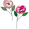 deux fleurs