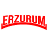 Erzurum alevi