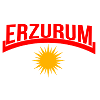 Erzurum Kurd