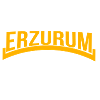 Erzurum or alevi