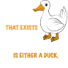 Funny duck saying