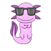 Axolotl with sunglasses