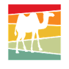 Camel Retro