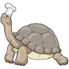 Turtle Chef Chef Hat