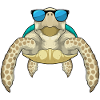 Turtle Sunglasses