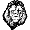 Black Lion