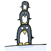 funny penguins, acrobatic penguins