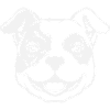 DOG CAT PET