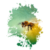 Biene
