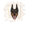Golden Dog Doberman