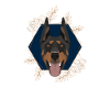 Golden Dog Doberman