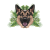 Tropical German Shepherd