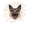 Golden Dog German Shepherd