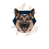 Golden Dog German Shepherd