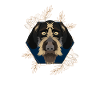 Golden Dog German Wirehair