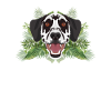 Tropical Dalmatians