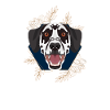 Golden Dog Dalmatian