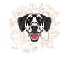 Golden Dog Dalmatian