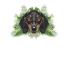 Teckel tropical