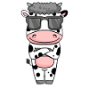 Cow with sunglasses