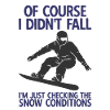 Snowboard Spruch für Snowboarder