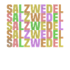 salzwedel
