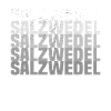 salzwedel